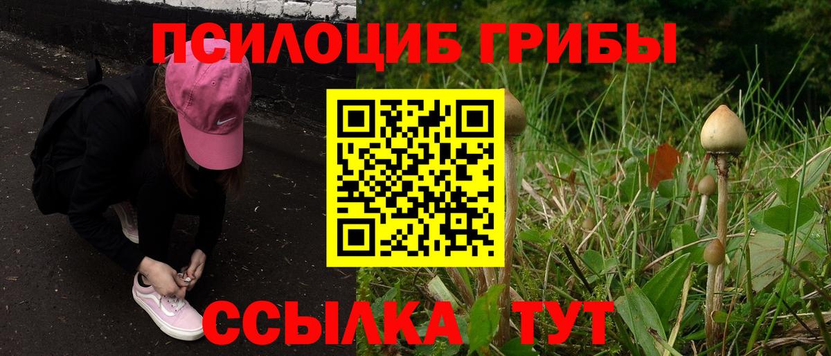 Балтийск  Галлюциногенные грибы MAGIC MUSHROOMS  Вход с VPN 